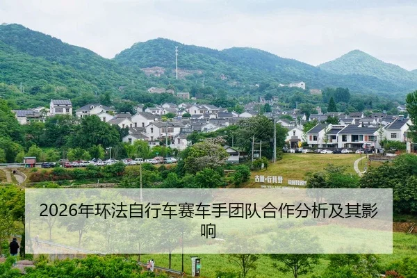 nian-huan-fa-zi-xing-che-sai-che-shou-tuan-dui-he-zuo-fen-xi-ji-qi-ying-xiang-2-265.jpg