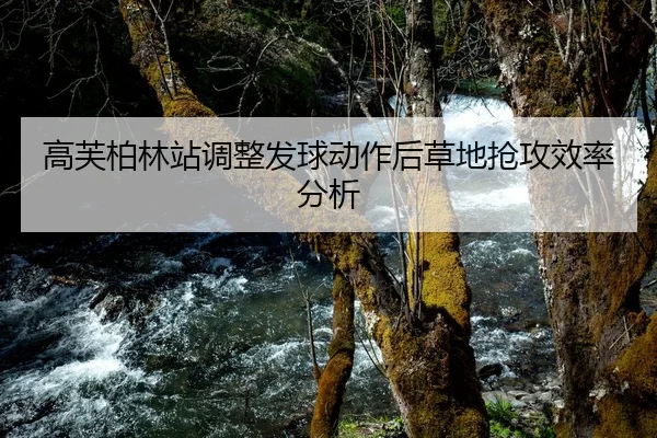 高芙柏林站调整发球动作后草地抢攻效率分析