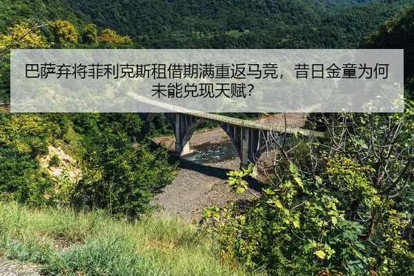 ba-sa-qi-jiang-fei-li-ke-si-zu-jie-qi-man-chong-fan-ma-jing-xi-ri-jin-tong-wei-he-wei-neng-dui-xian-tian-fu-2-423.jpg